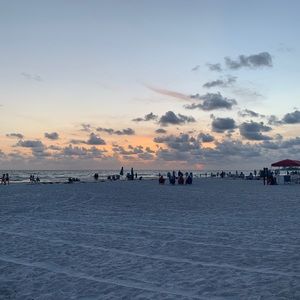 Meet your Posher, Merryn